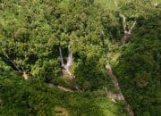 Kemenag Dorong Pengembangan Hutan Wakaf Nasional Atasi Krisis Iklim