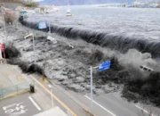 Gempa Rusia Kuat, Tsunami Lemah: Apa Sebabnya?