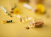 Cegah Sakit Ginjal Sejak Dini dengan Peningkatan Literasi Obat Herbal