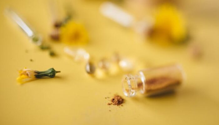 Cegah Sakit Ginjal Sejak Dini dengan Peningkatan Literasi Obat Herbal