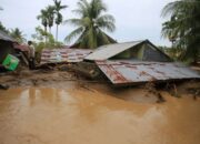BNPB : Korban Bencana Hidrometeorologi di Sumatera Tembus 164 Jiwa