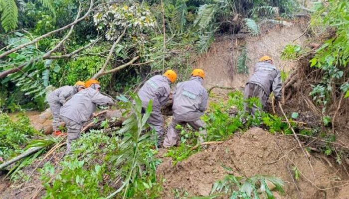 Kerugian Akibat Bencana Alam di Padang Pariaman Ditaksir Capai Rp268,5 Miliar