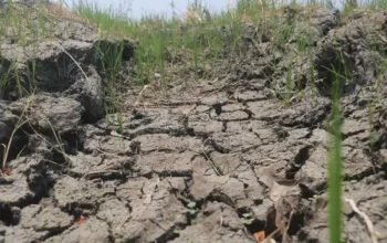 Ancaman Krisis Air Tanah, Jabar Serius Tindak 2.000 Sumur Ilegal