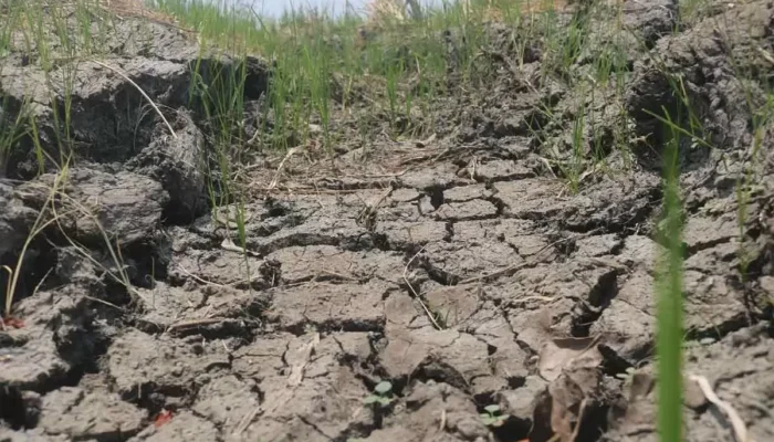 Ancaman Krisis Air Tanah, Jabar Serius Tindak 2.000 Sumur Ilegal