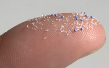 Mikroplastik Bisa Bersarang di Tulang Manusia, Ini Efek dan Bahayanya bagi Kesehatan