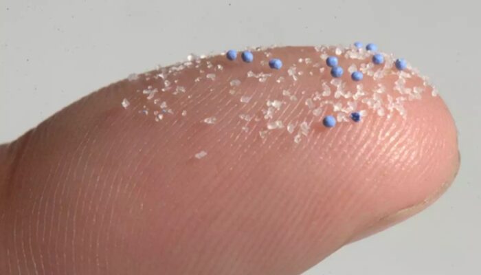 Mikroplastik Bisa Bersarang di Tulang Manusia, Ini Efek dan Bahayanya bagi Kesehatan