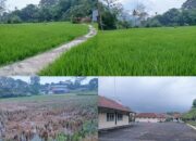 Survey Lahan di Jatinangor dan Tasikmalaya, Kerja Sama Strategis UICM-Dewan Dakwah Jabar Siap Wujudkan Wakaf Produktif