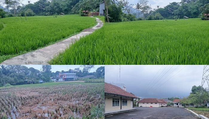 Survey Lahan di Jatinangor dan Tasikmalaya, Kerja Sama Strategis UICM-Dewan Dakwah Jabar Siap Wujudkan Wakaf Produktif