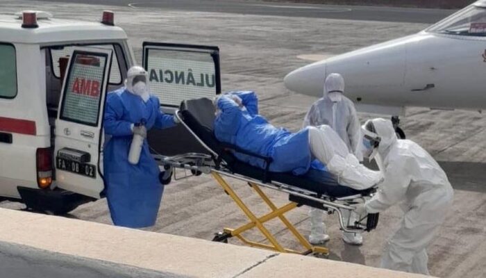 Hantavirus Tak Berpotensi Jadi Pandemi Kata Ahli WHO