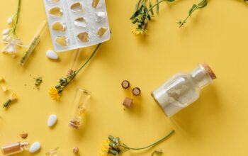 Pentingnya Literasi Obat Herbal untuk Cegah Penyakit Ginjal Sejak Dini
