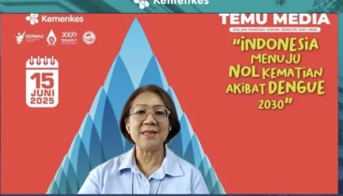 Kemenkes Menargetkan Angka Kematian Akibat DBD Menjadi Nol pada 2030