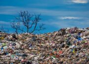 Tiga Negara Maju Sukses Ubah Sampah Jadi Energi Terbarukan
