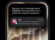 Apple Resmi Meluncurkan iOS 27 yang Mendukung Perangkat Lawas Mulai iPhone 11