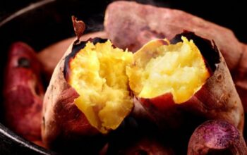 Empat Pilihan Makanan Berserat Tinggi Sebagai Alternatif Pepaya untuk Pencernaan