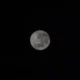 Fenomena Astronomi Buck Moon Hiasi Langit Malam Akhir Juli
