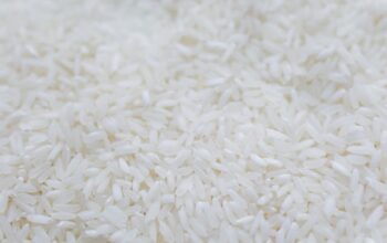 Bapanas Hentikan Produksi dan Tarik 25 Merek Beras Fortifikasi Bermasalah